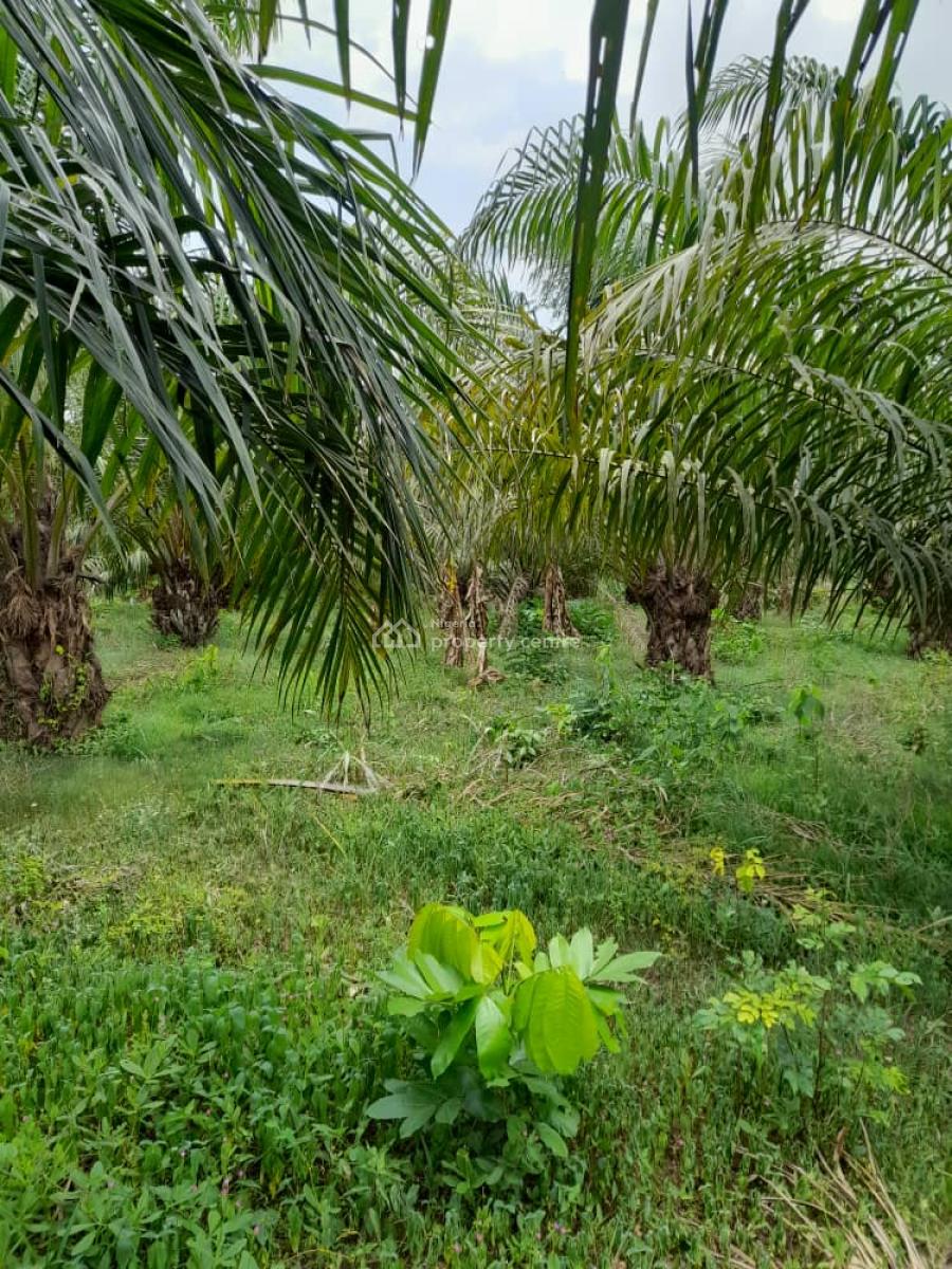 40 Acres of Farmland, 3 Crops of Plantation Existing on It Presently, Wasimi Between Ikire and Gbongan, Osogbo, Osun, Commercial Land for Sale