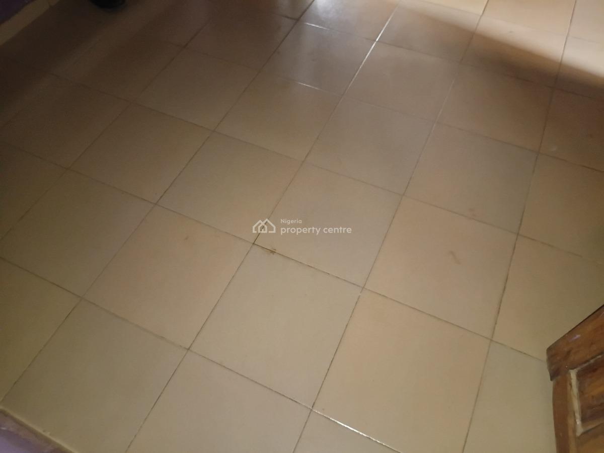 a Very Spacious Mini-flat Near The Main Road, Off The Alagbole-akute Road, Ojodu, Lagos, Mini Flat (room and Parlour) for Rent