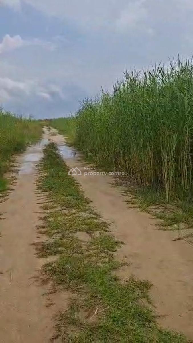 1000sqm Land, Lekki Foreshore, Lekki Phase 1, Lekki, Lagos, Land for Sale