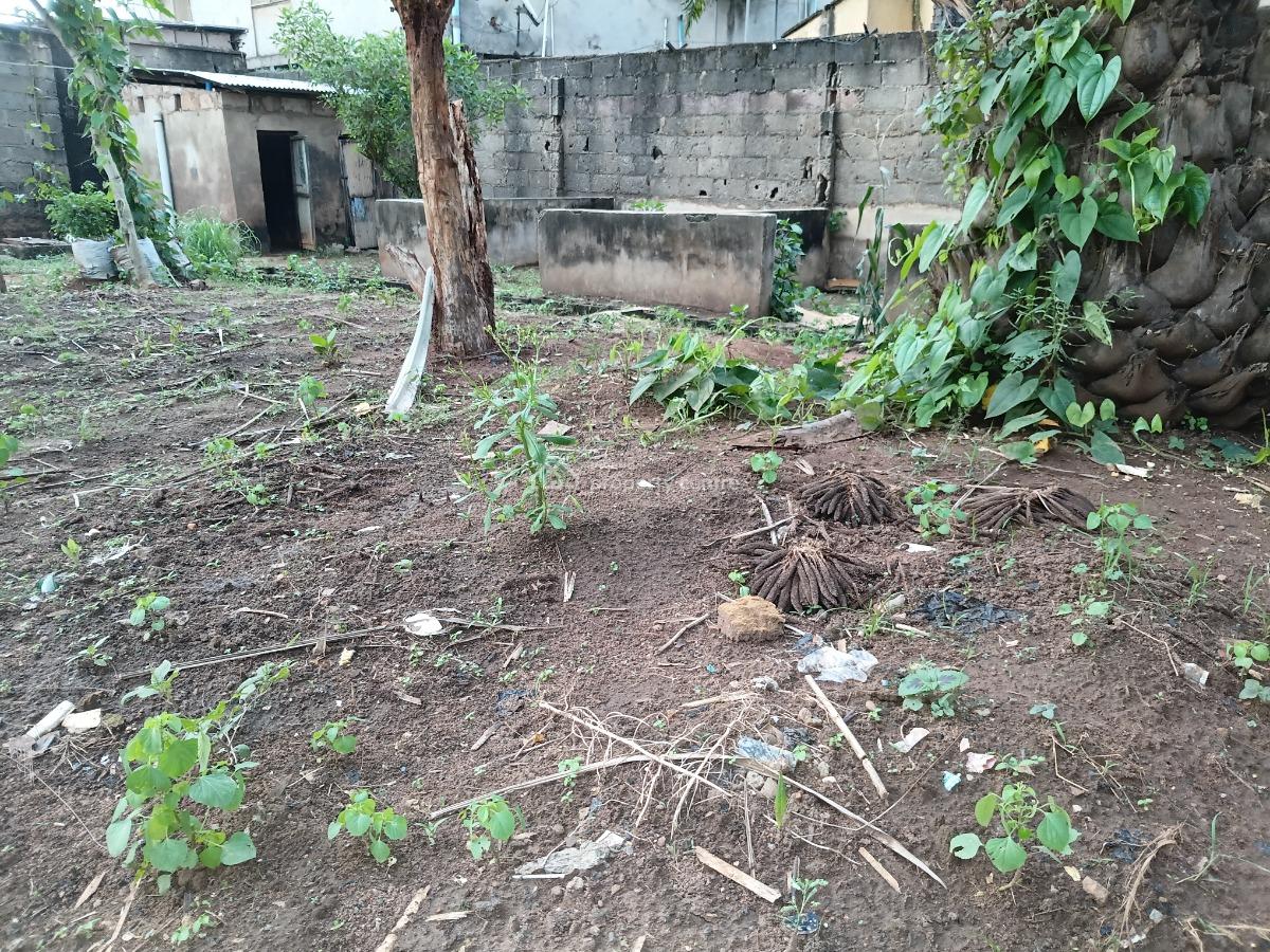 Half a Plot of Land in an Excellent Location (direct Brief), Near The Alagbole-akute Road, Ojodu, Lagos, Mixed-use Land for Sale