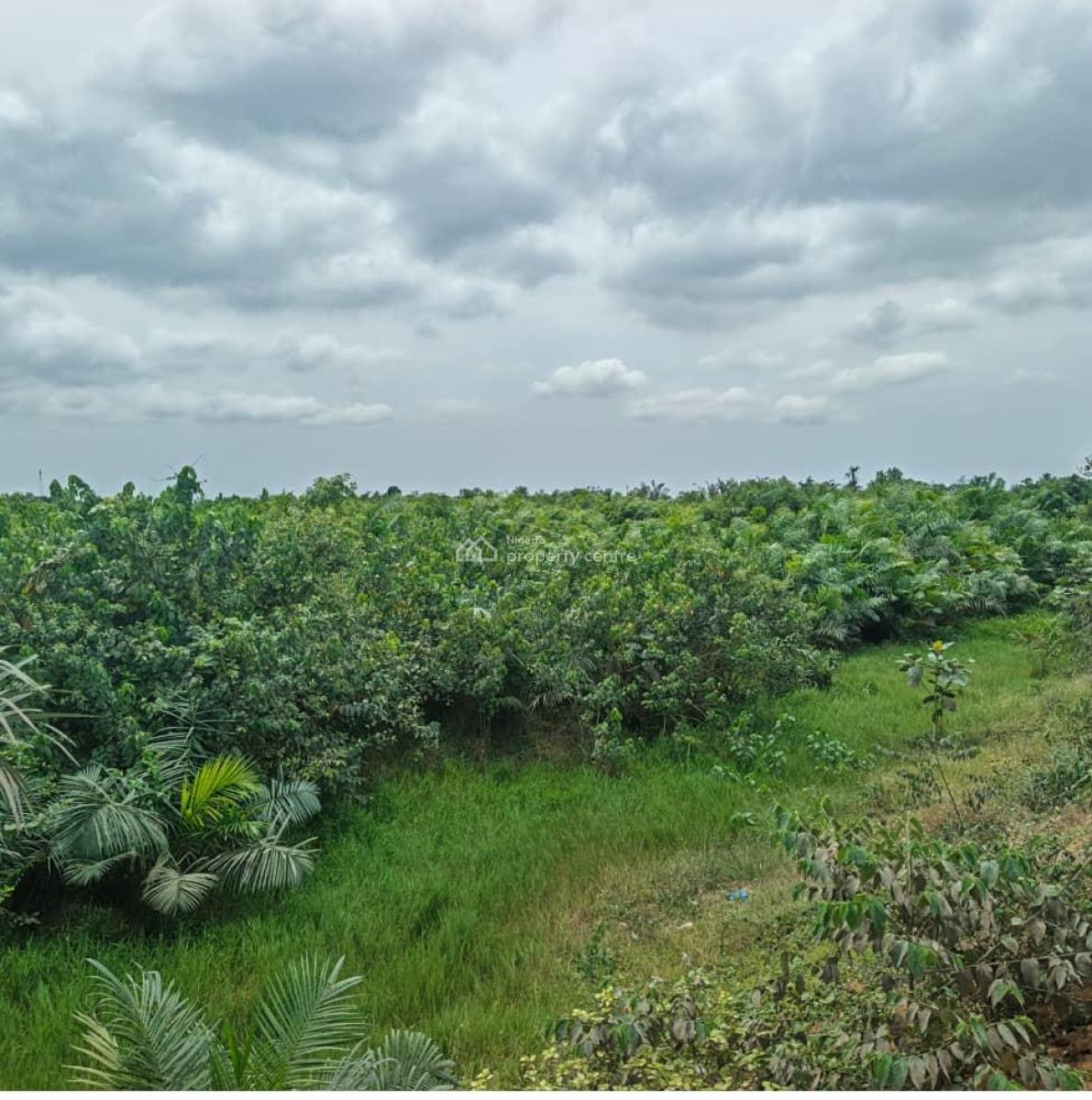 500sqm Mixed-used Land, Orimedu, Ibeju Lekki, Lagos, Mixed-use Land for Sale