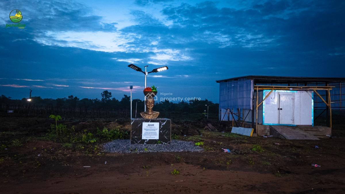 Earn More Than 1.5m From a Plot of Pepper Plantation at Paradiso Farms, Abeokuta North, Ogun, Land for Sale