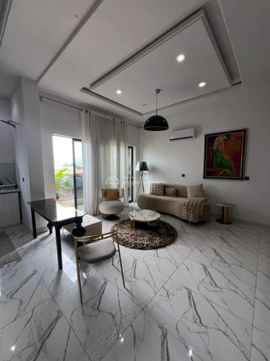 Luxuriously Built 2 Bedroom Apartment, Lekki Phase 1, Lekki, Lagos, Flat / Apartment for Sale