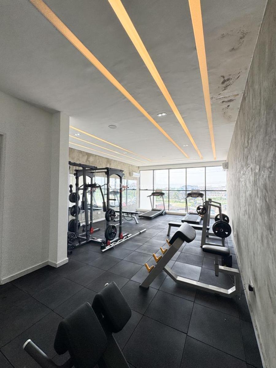 Extravagant 2 Bedroom Apartment with Pool, Gym and Elevator, Lekki Phase 1, Lekki, Lagos, Flat / Apartment for Sale