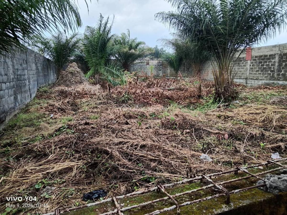 100% Dry Plot in a Developed Area. Free From Govt Acquisition, Watchtower Road Kajola Bus Stop, Lakowe, Ibeju Lekki, Lagos, Residential Land for Sale