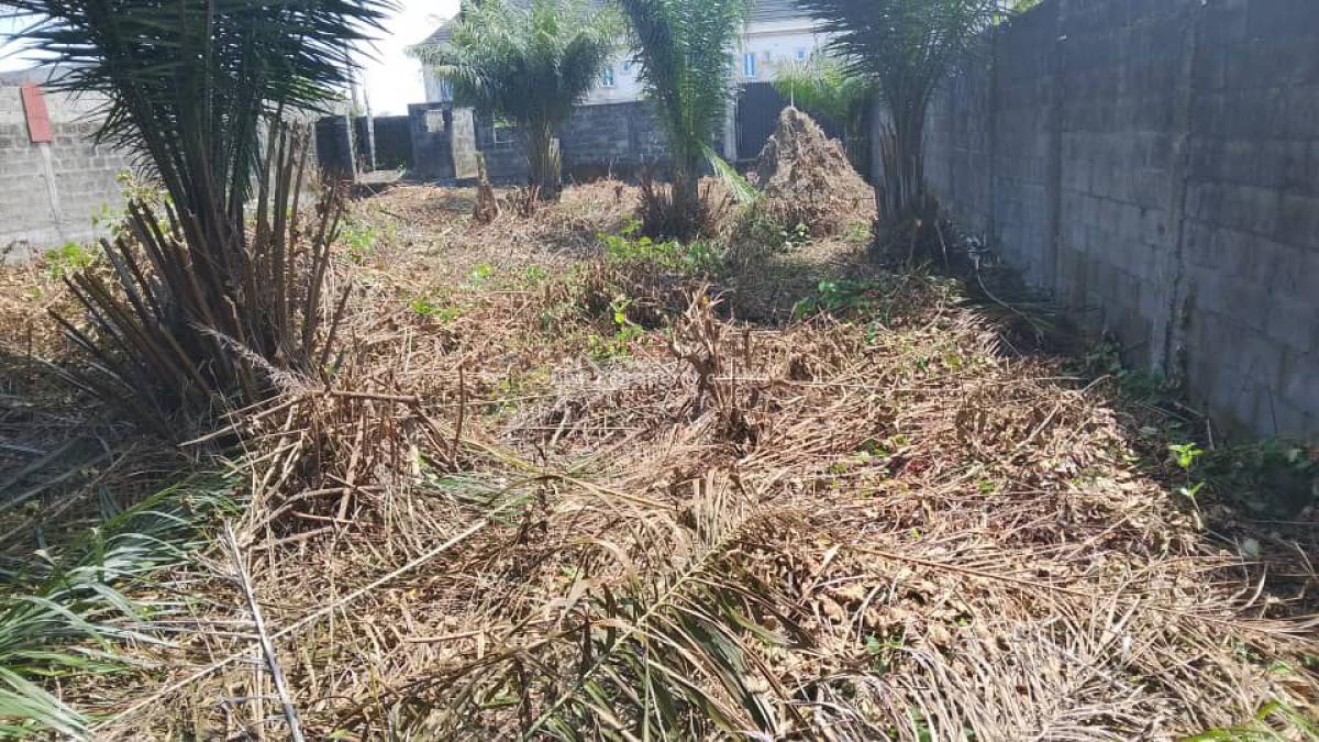 100% Dry Plot in a Developed Area. Free From Govt Acquisition, Watchtower Road Kajola Bus Stop, Lakowe, Ibeju Lekki, Lagos, Residential Land for Sale