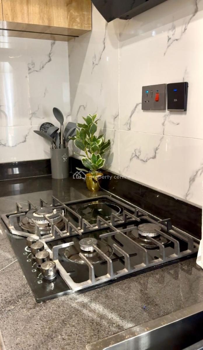 Luxury 1 Bedroom  Duplex  Apartment, Ikate, Lekki, Lagos, Mini Flat (room and Parlour) Short Let