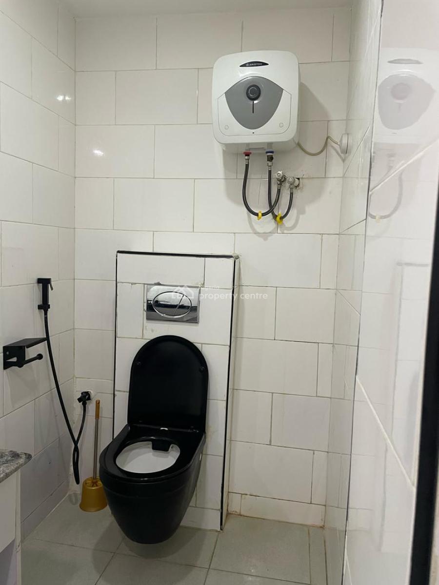 Well Furnished and Serviced 2 Bedroom Apartment, Asokoro District, Abuja, Flat / Apartment for Rent