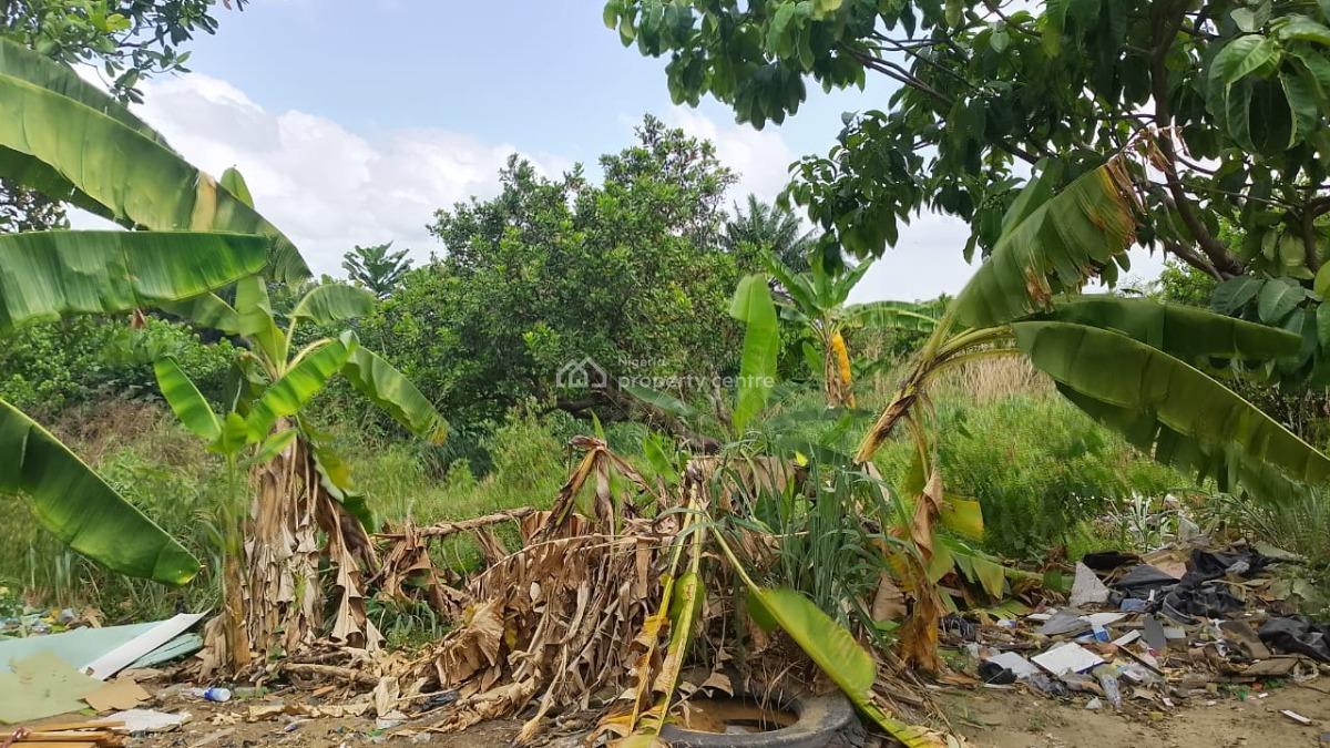 9,298m2 Dry Land with C of O, Lakowe, Lakowe, Ibeju Lekki, Lagos, Mixed-use Land for Sale