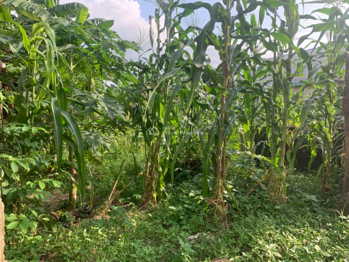 a Fenced One Plot of Land, Off Ada George - Ogbogoro New Road Mgbaraja, Port Harcourt, Rivers, Residential Land for Sale