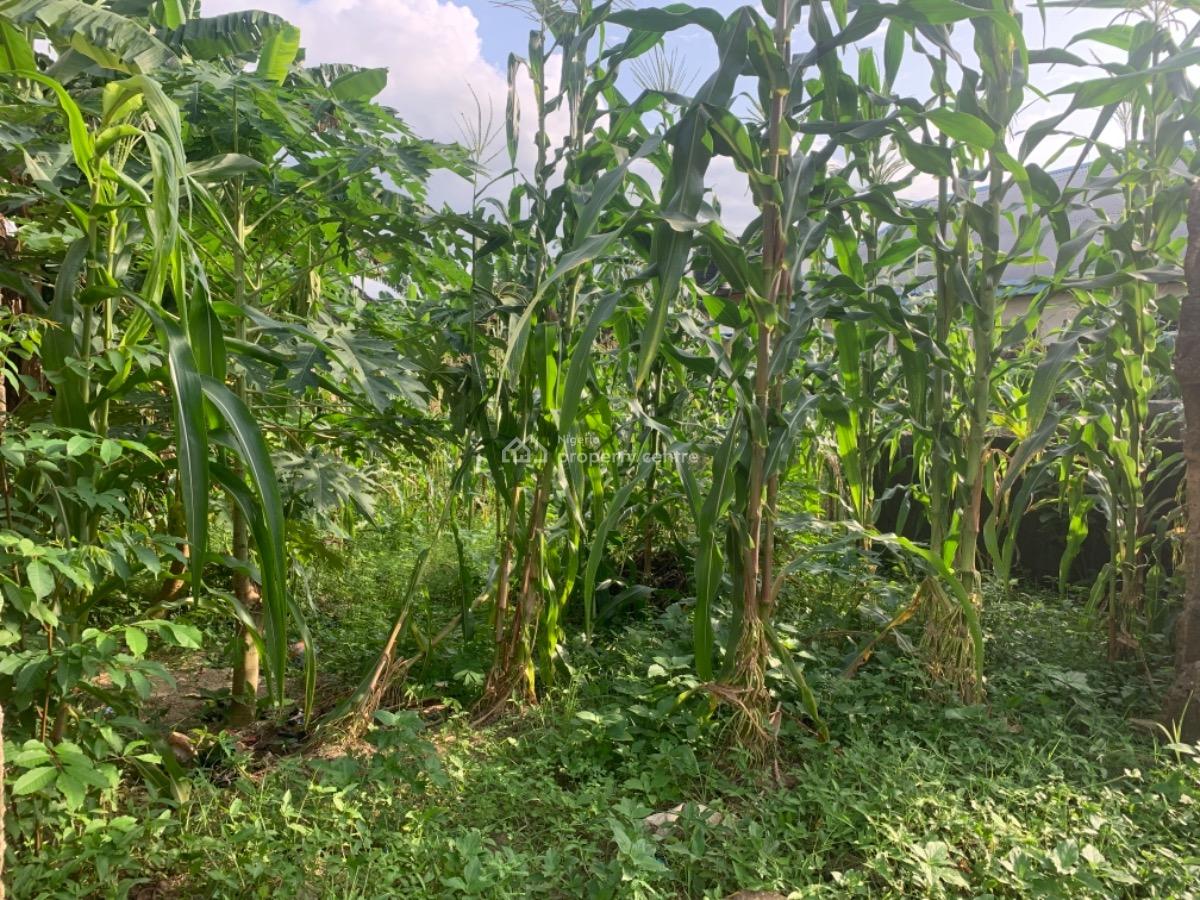 a Fenced One Plot of Land, Off Ada George - Ogbogoro New Road Mgbaraja, Port Harcourt, Rivers, Residential Land for Sale