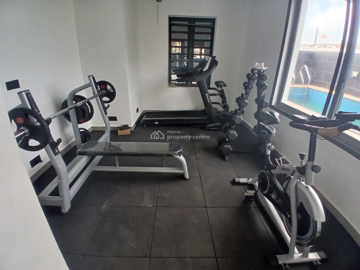 Spacious Stunning 3 Bedroom Furnished Apartment, Lekki, Lekki Phase 1, Lekki, Lagos, Flat / Apartment for Sale