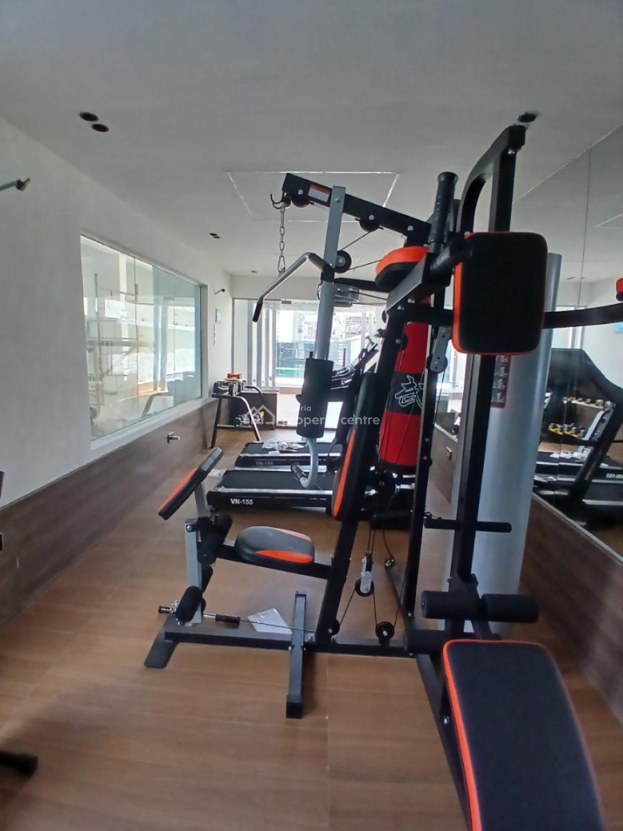 Newly Built and Serviced with 24/7 Power Supply 2 Bedroom En-suite Fla, Ikate Elegushi, Lekki, Lagos, Flat / Apartment for Rent