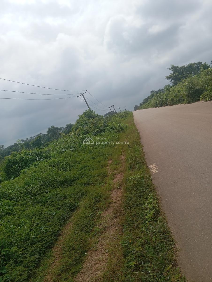 15acres of Farmland, Along Osogbo/iwo Road Osuntedo, Osogbo, Osun, Commercial Land for Sale