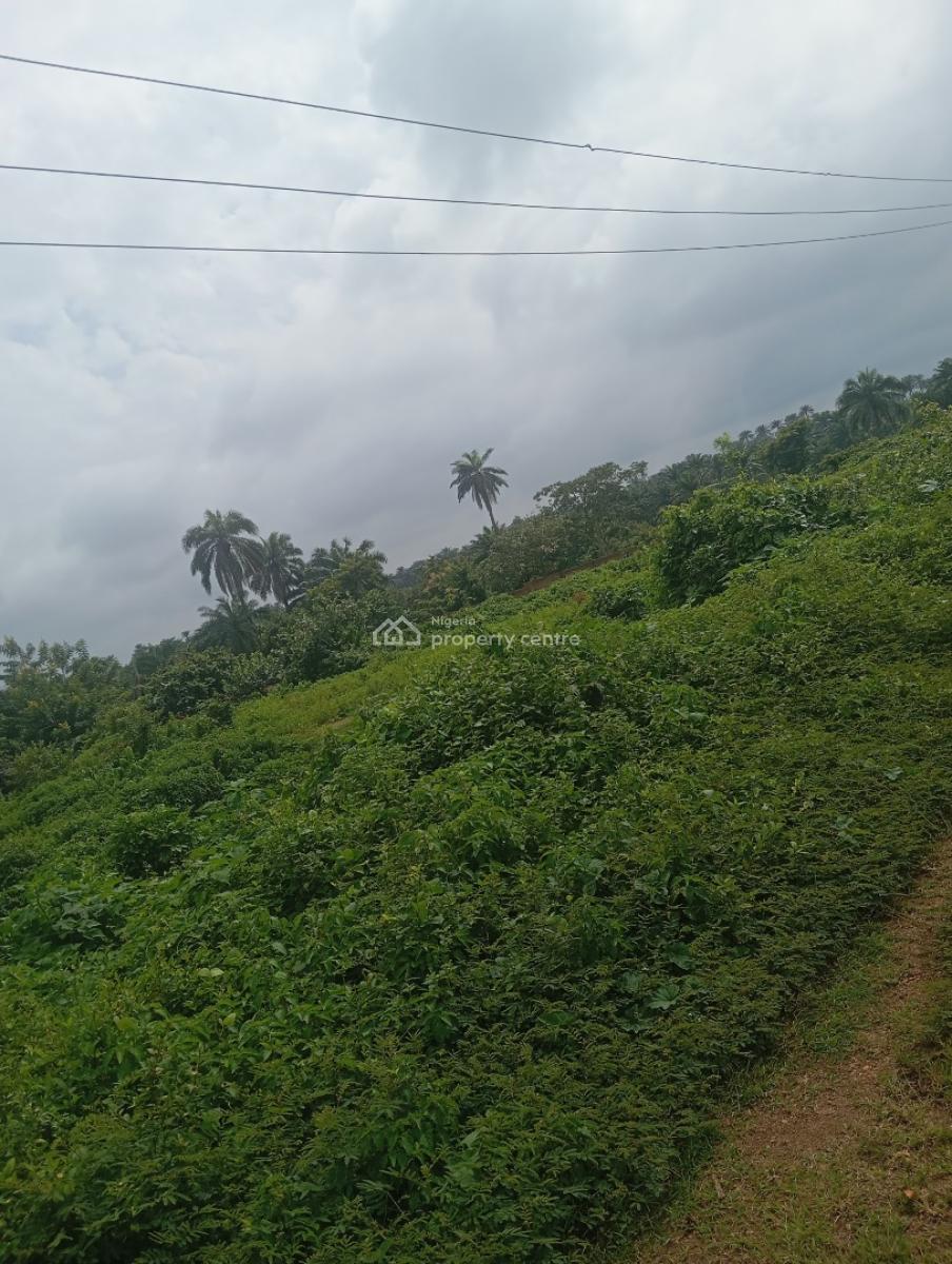 15acres of Farmland, Along Osogbo/iwo Road Osuntedo, Osogbo, Osun, Commercial Land for Sale