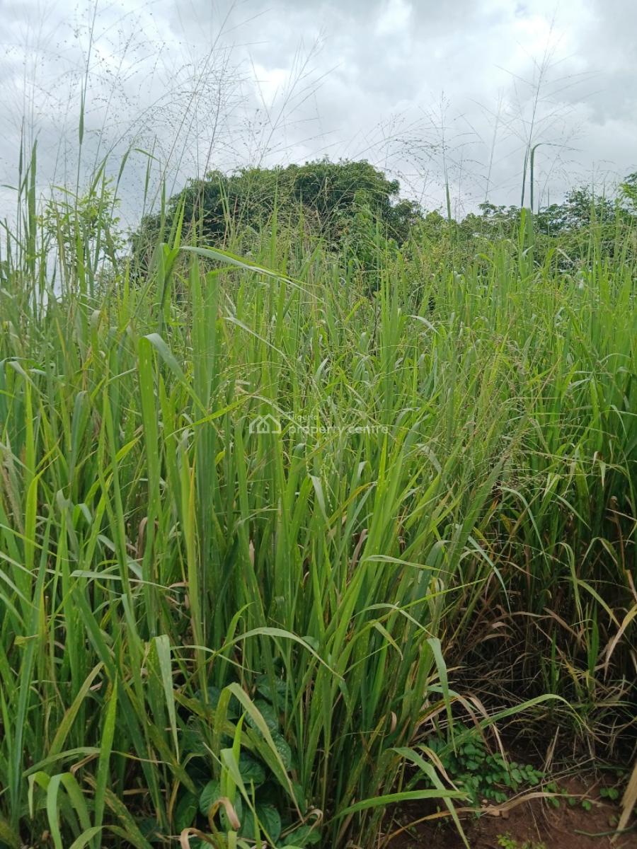Land with C of O, Queens Hones Estate, Mowe Ofada, Ogun, Residential Land for Sale