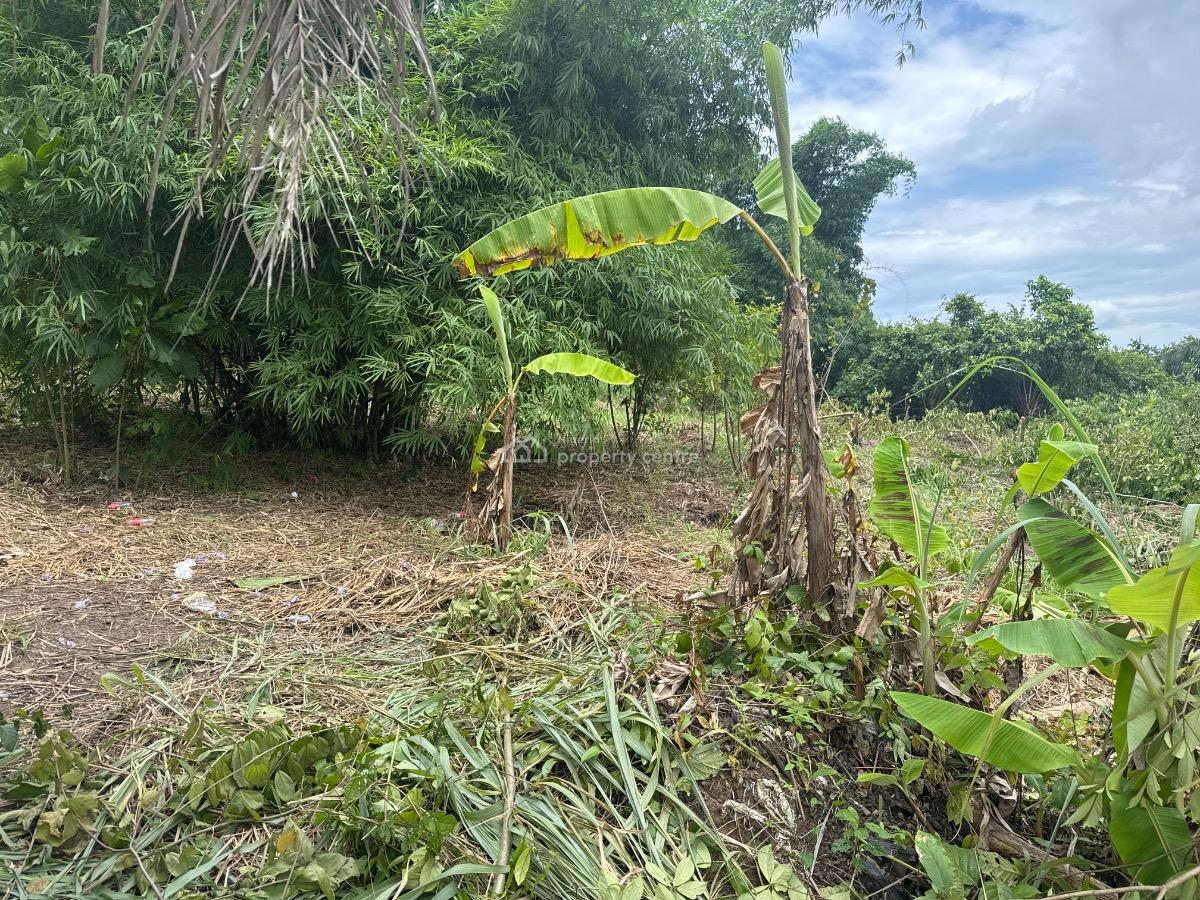1 Acre Land, Ifo, Ogun, Mixed-use Land for Sale