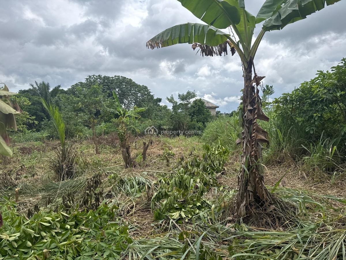 1 Acre Land, Ifo, Ogun, Mixed-use Land for Sale