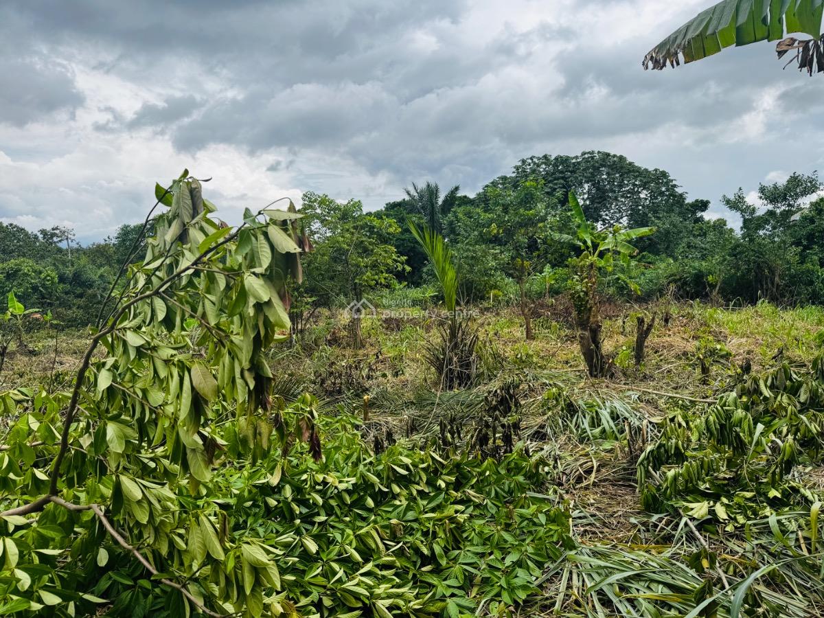 1 Acre Land, Ifo, Ogun, Mixed-use Land for Sale