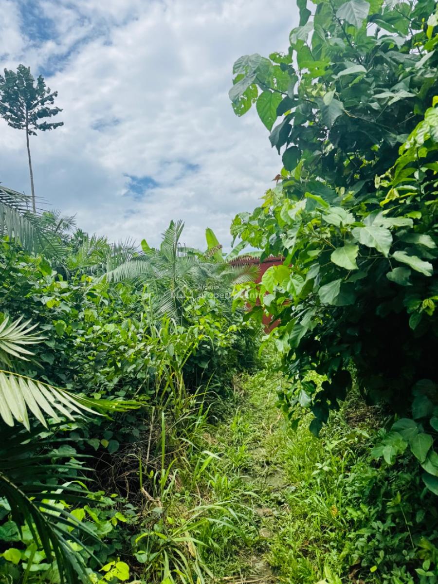 1 Acre Land, Ifo, Ogun, Mixed-use Land for Sale