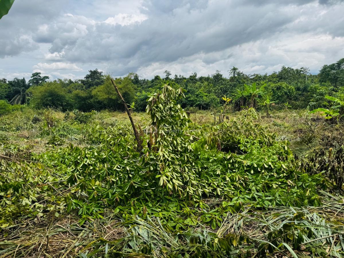 1 Acre Land, Ifo, Ogun, Mixed-use Land for Sale