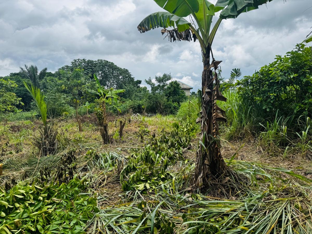 1 Acre Land, Ifo, Ogun, Mixed-use Land for Sale