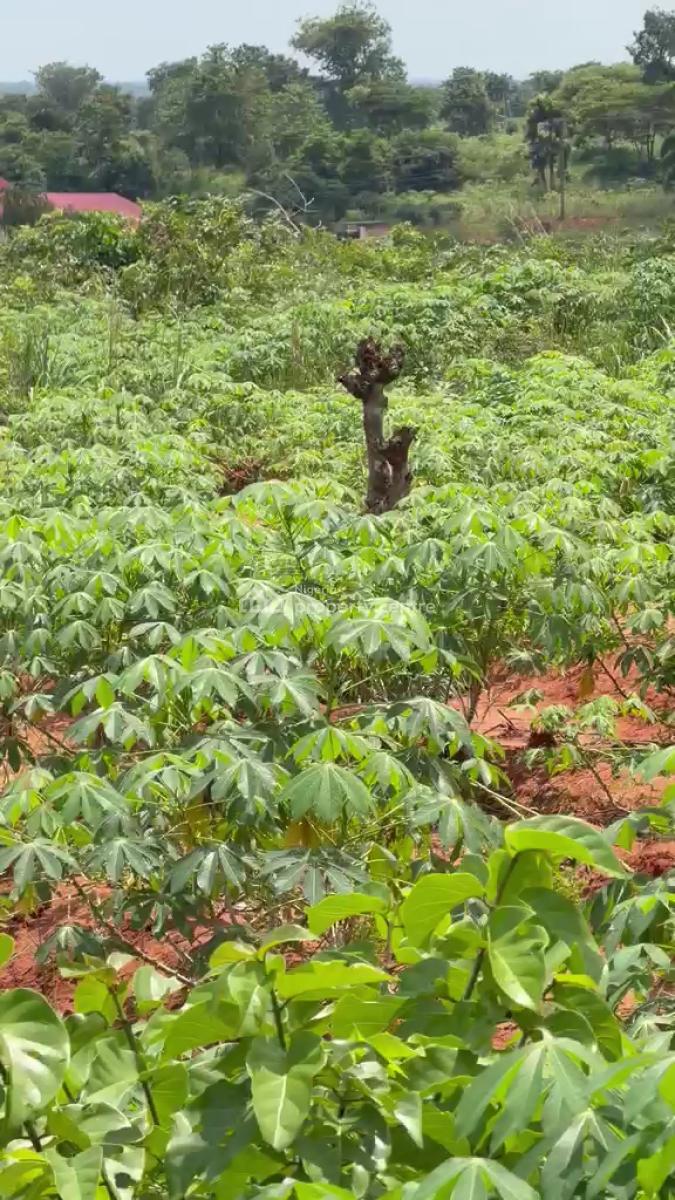 4 Plots of Land, Ebenebe Awka North L.g.a, Awka, Anambra, Mixed-use Land for Sale