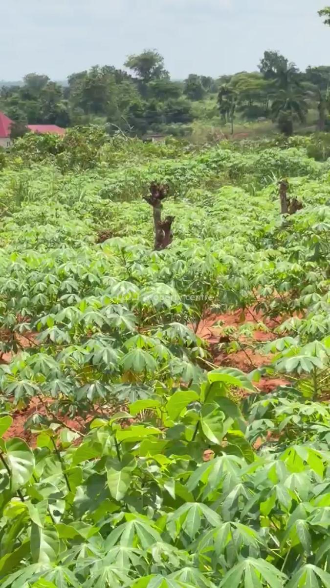 4 Plots of Land, Ebenebe Awka North L.g.a, Awka, Anambra, Mixed-use Land for Sale
