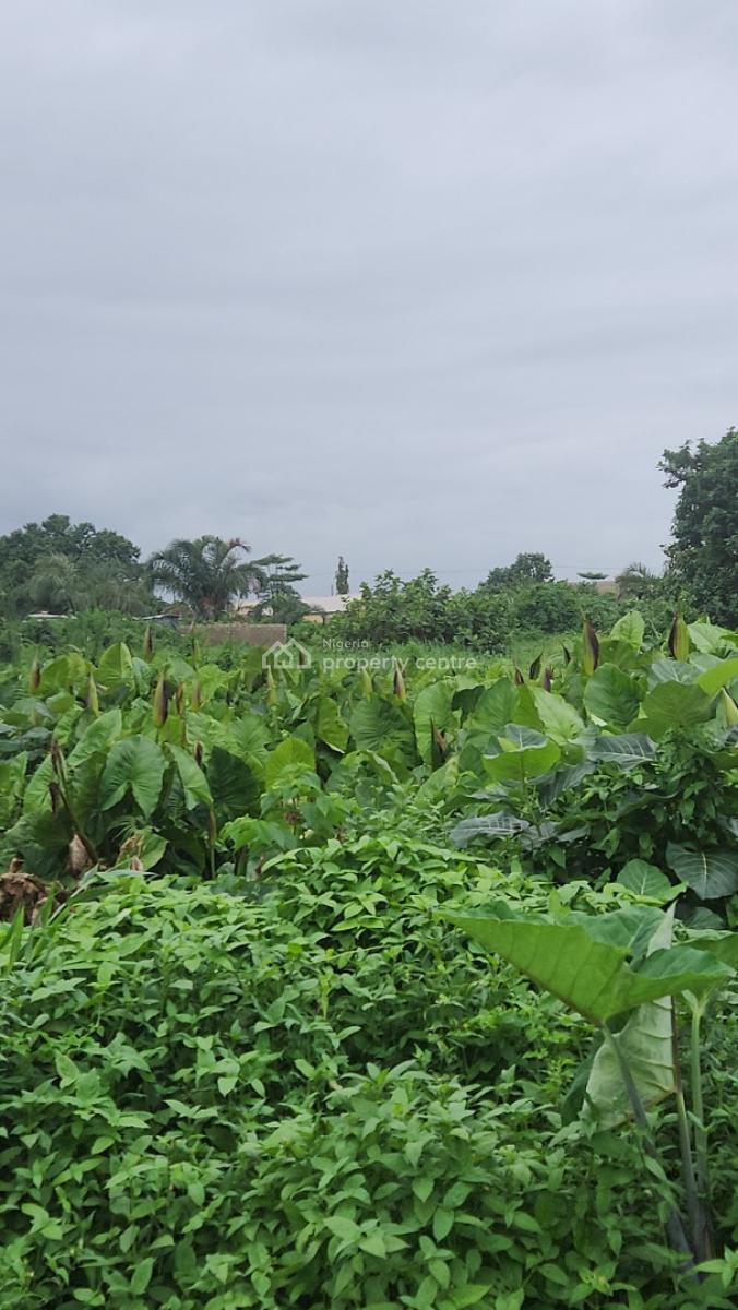 Budo Peninsula Estate Phase2 Not Far From The Estate Gate, Budo Peninsula Estate Phase 2, Ajah, Lagos, Residential Land Joint Venture