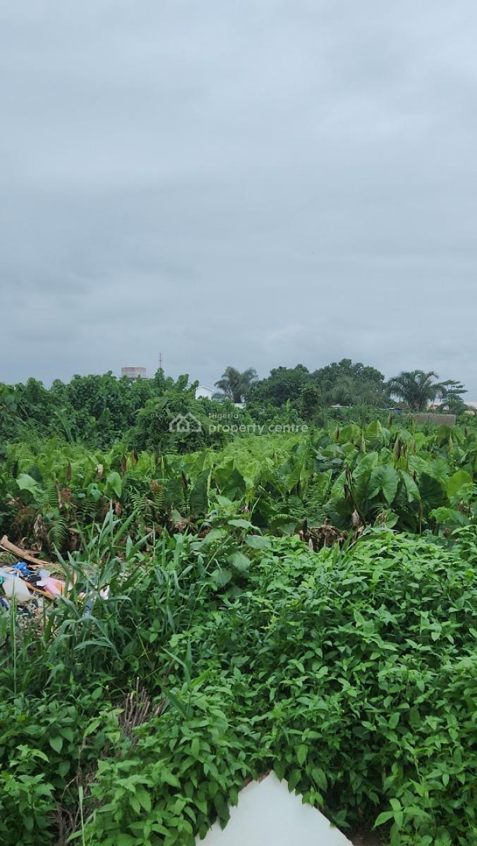 Budo Peninsula Estate Phase2 Not Far From The Estate Gate, Budo Peninsula Estate Phase 2, Ajah, Lagos, Residential Land Joint Venture