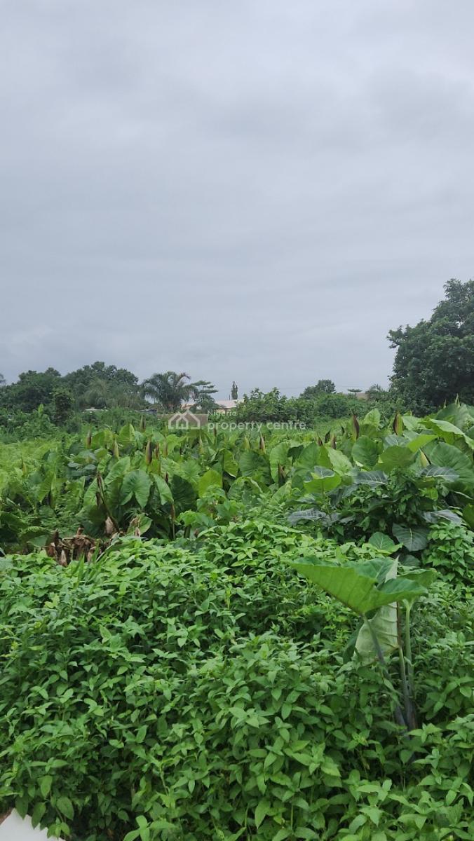 Budo Peninsula Estate Phase2 Not Far From The Estate Gate, Budo Peninsula Estate Phase 2, Ajah, Lagos, Residential Land Joint Venture