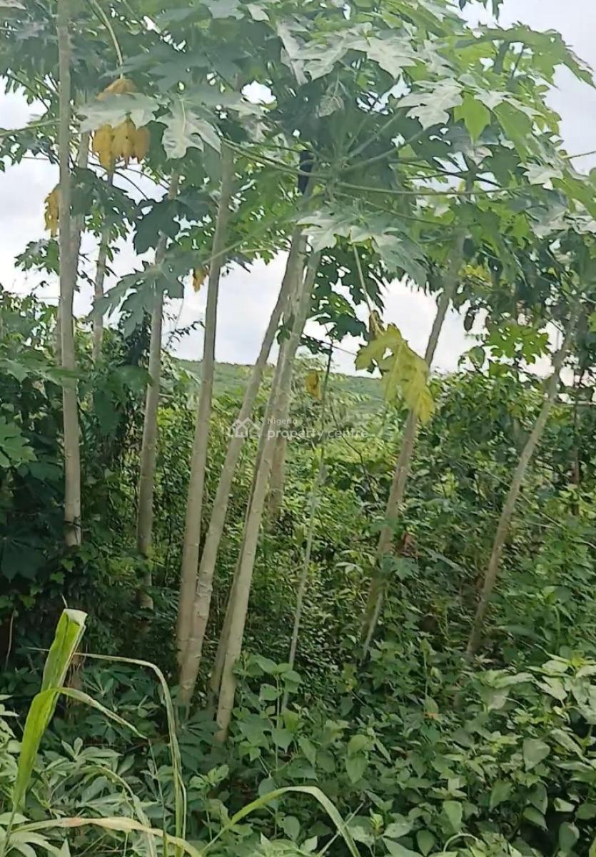 Premium and Affordable Estate Land to Become Landlord, Diamond Estate, Mowe, Mowe Ofada, Ogun, Residential Land for Sale