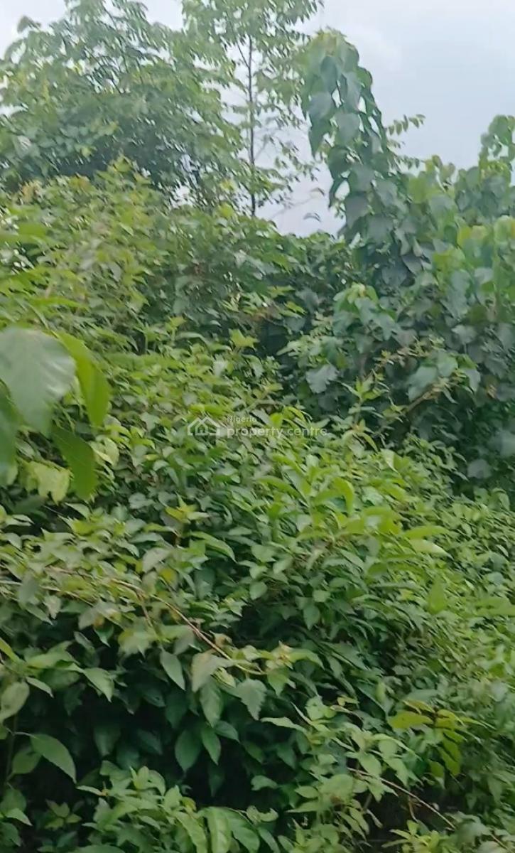 Premium and Affordable Estate Land to Become Landlord, Diamond Estate, Mowe, Mowe Ofada, Ogun, Residential Land for Sale