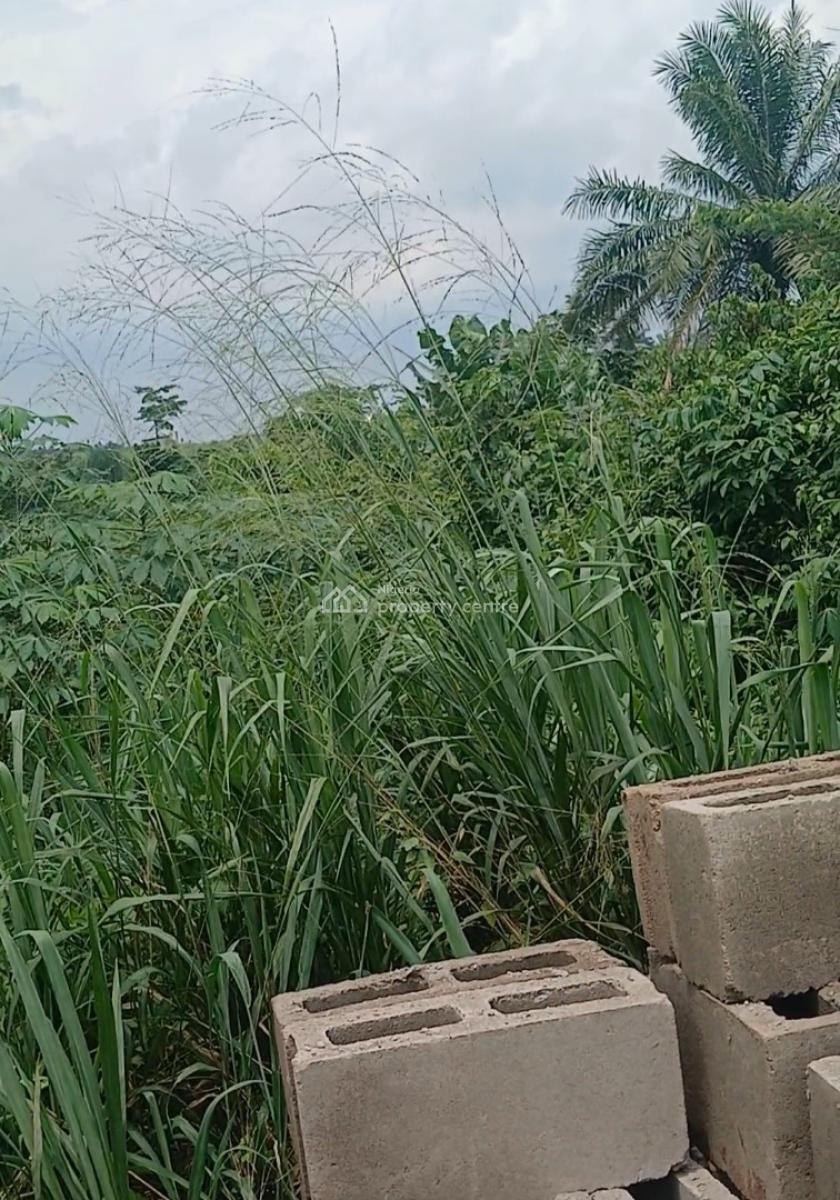 Premium and Affordable Estate Land to Become Landlord, Diamond Estate, Mowe, Mowe Ofada, Ogun, Residential Land for Sale