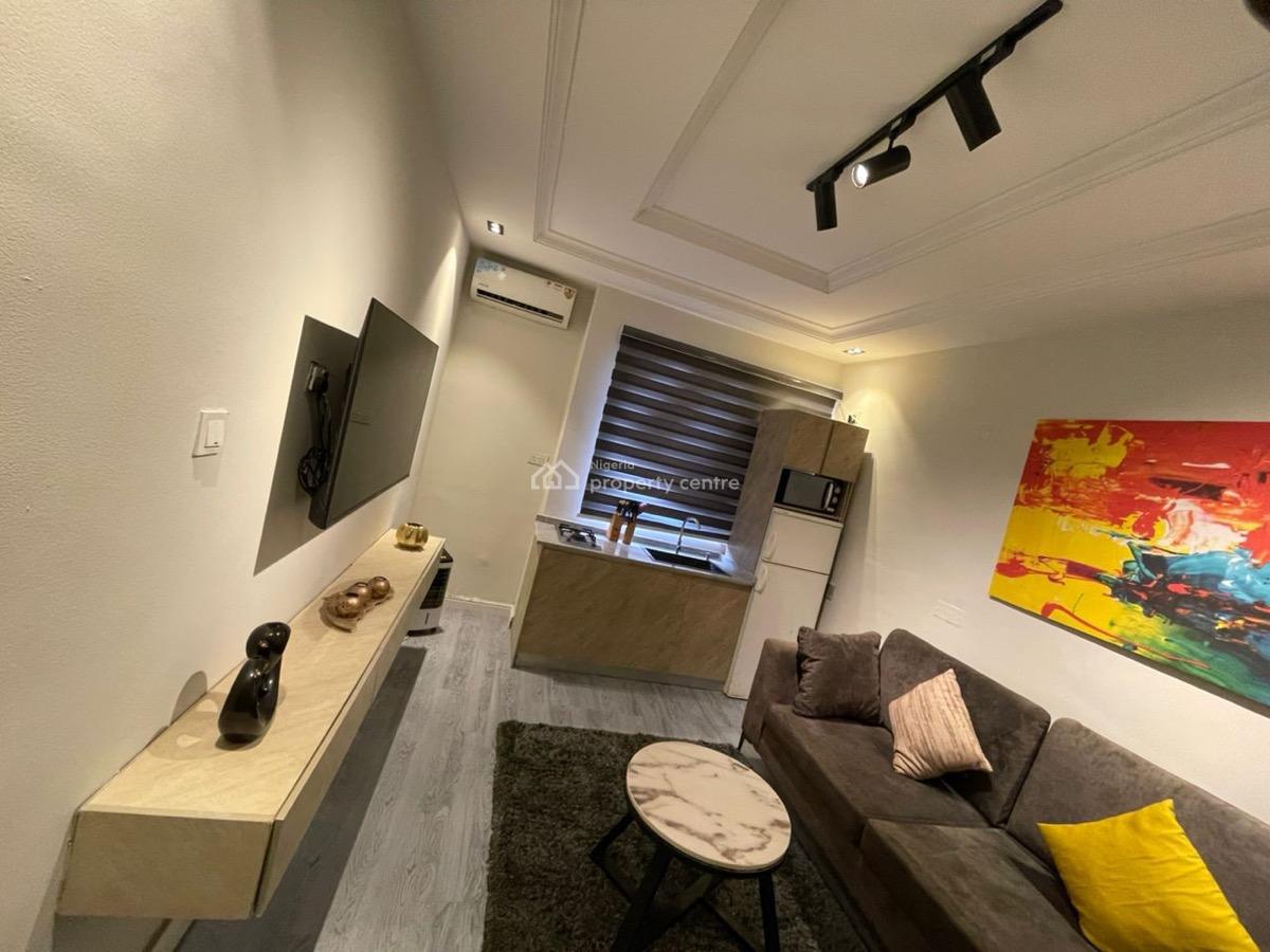 Furnished One Bedroom Apartment, Lekki Phase 1, Lekki, Lagos, Mini Flat (room and Parlour) for Rent