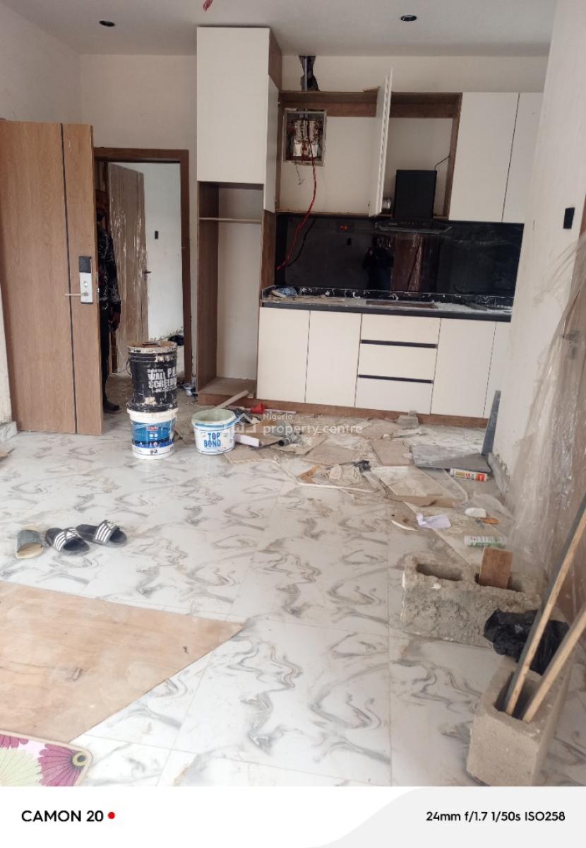 Luxury One Bedroom Apartments in Surulere, Ideal for Investors Targeti, Surulere, Lagos, Flat / Apartment for Sale