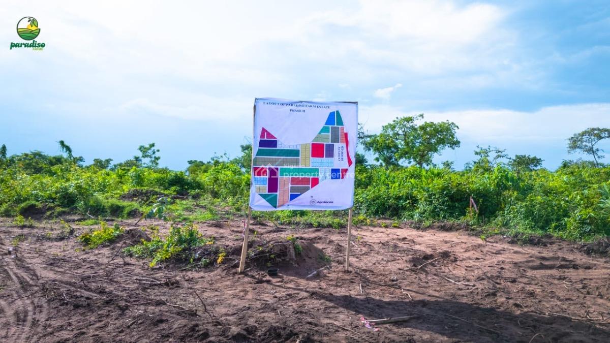 The Wealthy Know Something Most People Ignore. Send a Msg to Know, Odeda Local Government, Abeokuta North, Ogun, Land for Sale