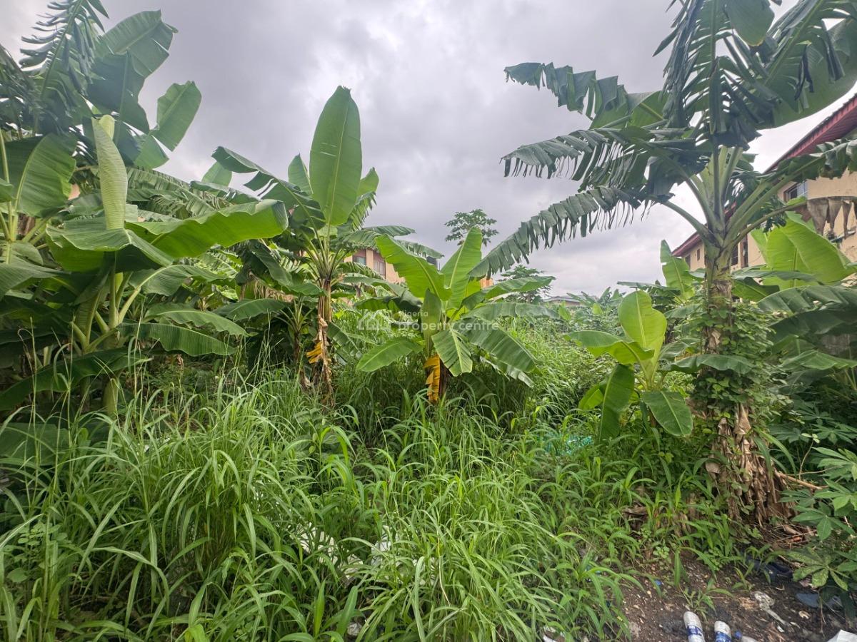 Full Plot, Estate, Ojodu, Lagos, Land for Sale
