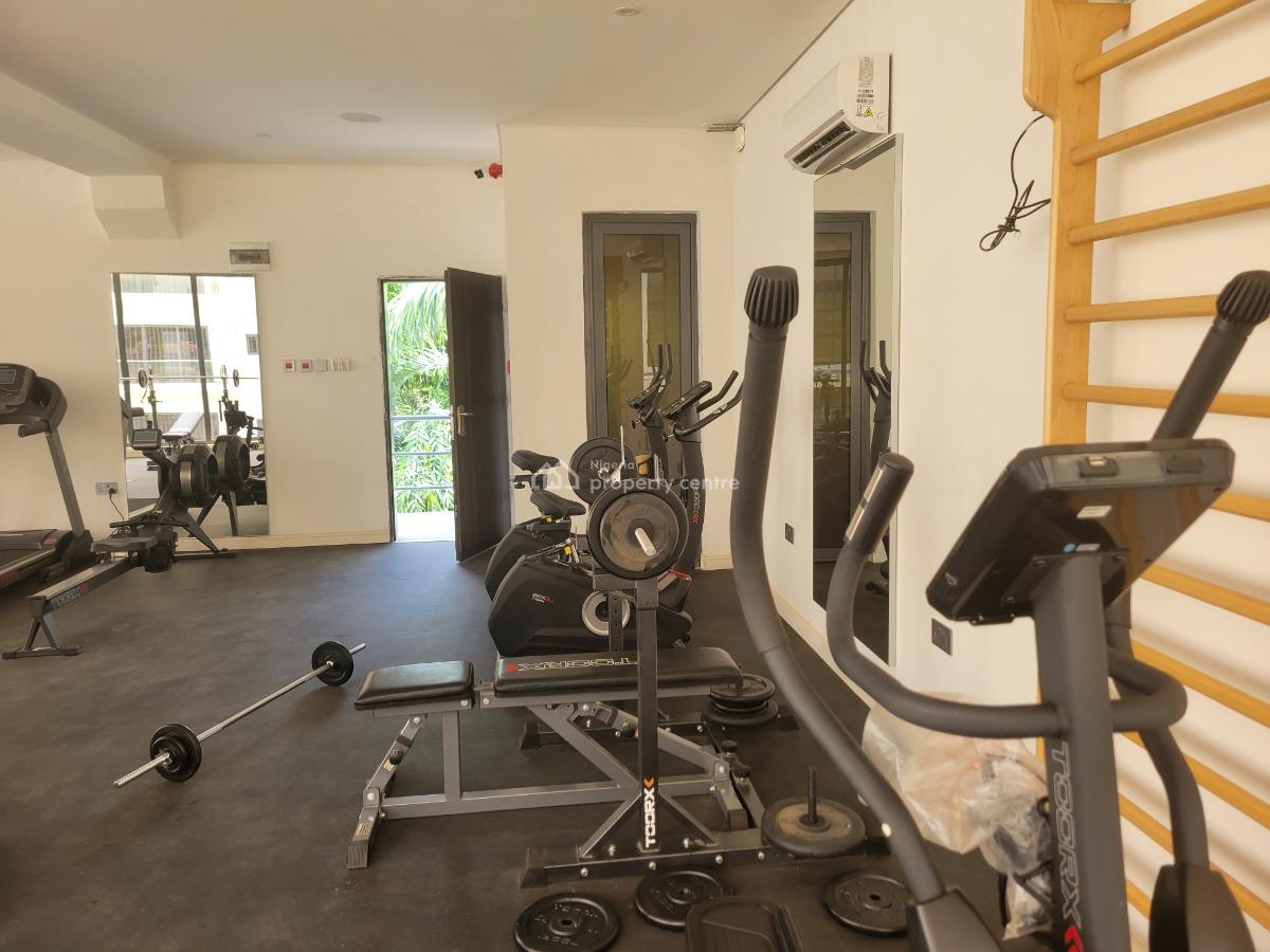 Furnished 3 Bedroom Apartment with Bq, Asokoro District, Abuja, Flat / Apartment for Rent