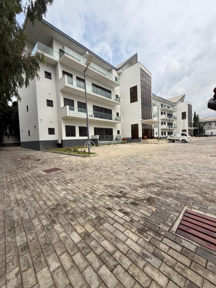 Luxury and Serviced 3 Bedroom Apartment with Bq Is Available, Asokoro, Asokoro District, Abuja, Flat / Apartment for Rent