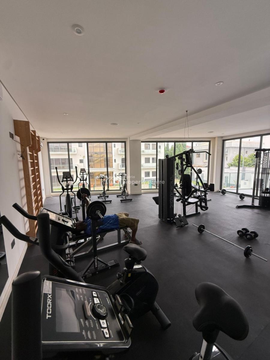 a Newly Built 4bedrooms Penthouse Fully Furnished, Asokoro, Asokoro District, Abuja, Flat / Apartment for Rent