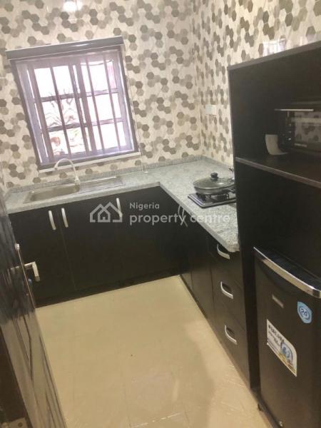 Newly Built 1 Bedroom Luxury Apartment, Thomas Estate, Ajah, Lagos, Mini Flat (room and Parlour) Short Let