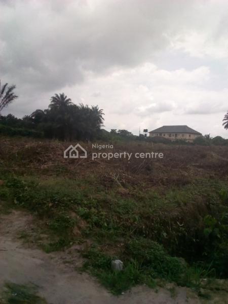 Homelight Properties Ltd, Government Approved Excision, Rumucholu Street, Eneka, Port Harcourt, Rivers, Mixed-use Land for Sale