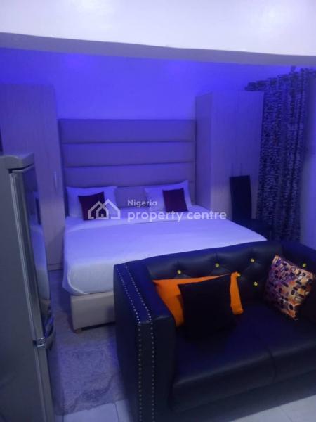 Fully Furnished One Bedroom Apartment, Lekki Phase 1, Lekki, Lagos, Self Contain (single Rooms) Short Let