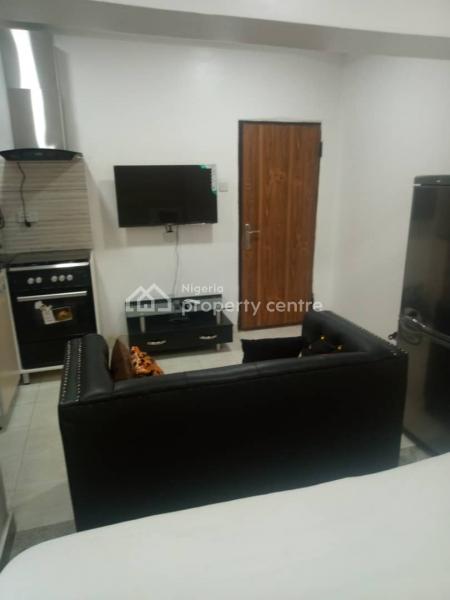 Fully Furnished One Bedroom Apartment, Lekki Phase 1, Lekki, Lagos, Self Contain (single Rooms) Short Let