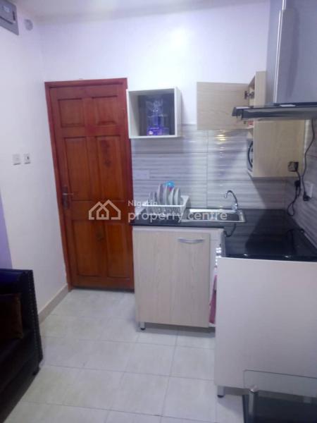 Fully Furnished One Bedroom Apartment, Lekki Phase 1, Lekki, Lagos, Self Contain (single Rooms) Short Let