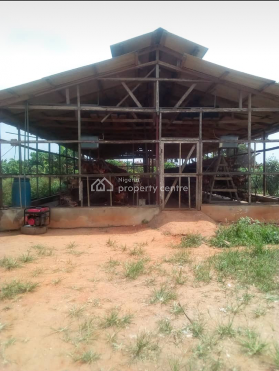 For Sale A Very Vast Livestock Farm/land, Eriyoegan Village, Off