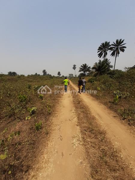 Residential Land in an Estate, Off Igwuruta-eneka Link Road By Army Range, Obio-akpor, Rivers, Residential Land for Sale