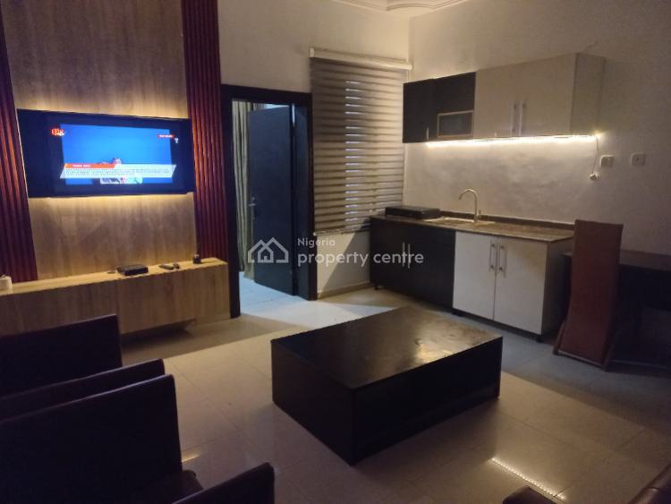 Superior Apartment (1 Bedroom Apartment), 19 Ladipo Omotesho Cole Street, Lekki Phase 1, Lekki, Lagos, Mini Flat (room and Parlour) Short Let