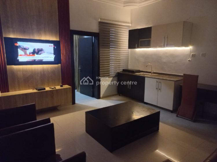 Superior Apartment (1 Bedroom Apartment), 19 Ladipo Omotesho Cole Street, Lekki Phase 1, Lekki, Lagos, Mini Flat (room and Parlour) Short Let
